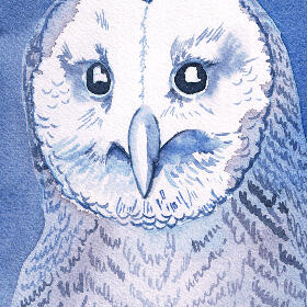 "The Owls Are Not What They Seem"