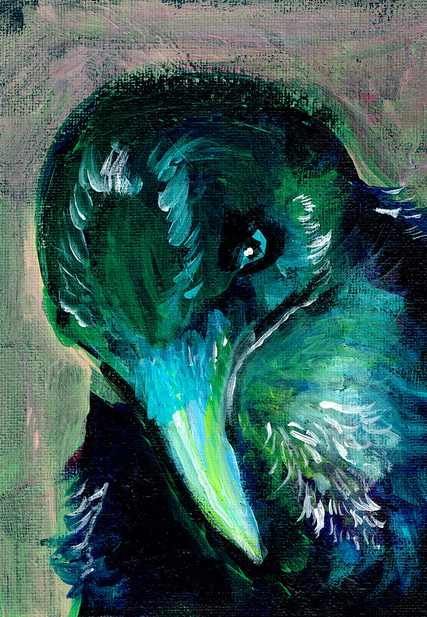Raven, Acrylic on canvas board, 2026